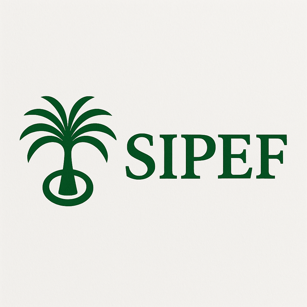 Sipef met sterke cijfers: Blik op het aandeel