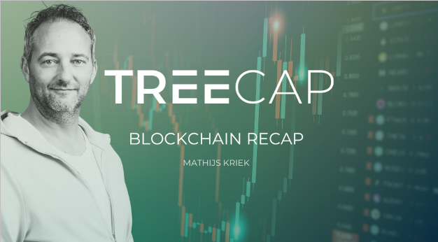 Crypto: de recap van TreeCap - visie portfolio manager Mathijs Kriek